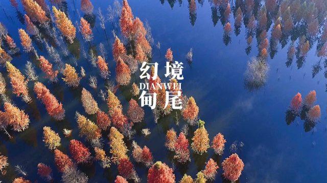 大唐游仙记
